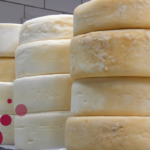 I formaggi del Trentino: dal latte alla tavola