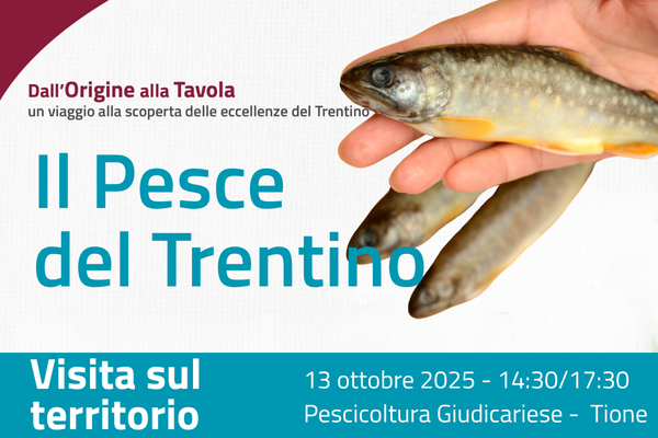 Il Pesce del Trentino - Visita sul territorio
